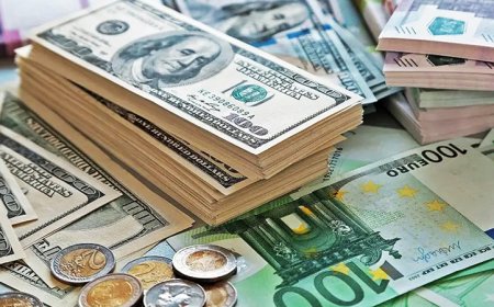 নভেম্বরের প্রথম ৪ দিনে রেমিট্যান্স এল ৪৬১ মিলিয়ন ডলার