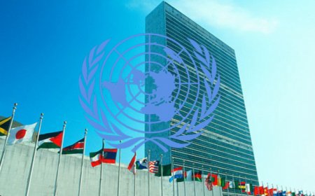 ঢাকায় আসছে জাতিসংঘের প্রতিনিধিদল