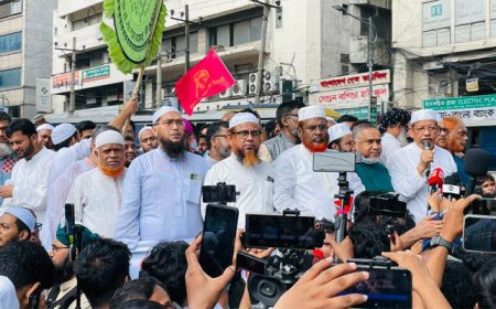 পাঁচ দফা দাবি আদায়ে প্রধান উপদেষ্টাকে স্মারকলিপি দিল জামায়াতসহ ৮ দল