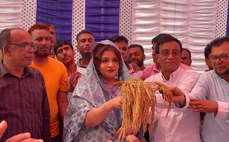 বিএনপির মনোনয়ন পাওয়ার পর বাবার কবর জিয়ারত করলেন শামা ওবায়েদ