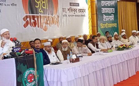 বিএনপি ক্ষমতায় গিয়ে উল্টা-পাল্টা করলে ছাড় দেব না : জামায়াত আমির