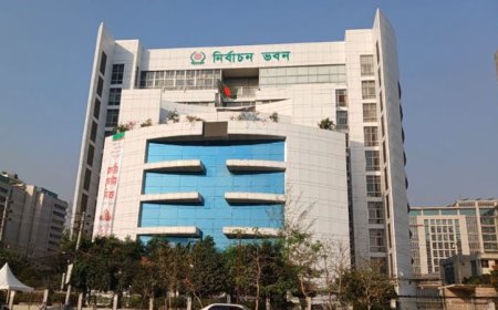 ৬৬টি দেশি নির্বাচন পর্যবেক্ষক সংস্থাকে চূড়ান্ত নিবন্ধন দিলো ইসি