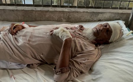 আওয়ামী লীগ নেতার ছেলেকে বিএনপির অনুষ্ঠানে নিয়ে যাওয়ায় কর্মীকে হাতুড়িপেটা!