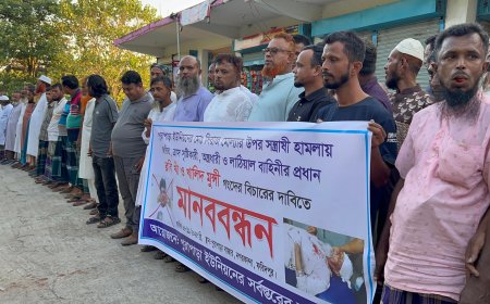 বিএনপি কর্মীকে হাতুড়িপেটার জেরে উত্তাল নগরকান্দা, দলীয় কর্মসূচি বর্জনের ঘোষণা