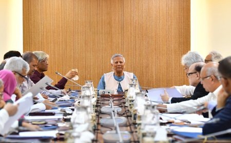 আর্জেন্টিনা ও আয়ারল্যান্ডে দূতাবাস খোলার অনুমোদন উপদেষ্টা পরিষদের