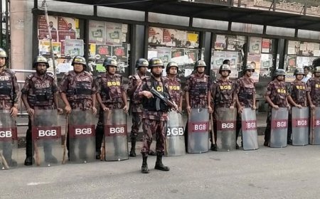 ঢাকাসহ আশপাশের জেলায় ১২ প্লাটুন বিজিবি মোতায়েন