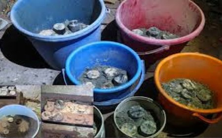 জেনেভা ক্যাম্পে গোপন কারখানা থেকে ৩৫টি তাজা ককটেল উদ্ধার