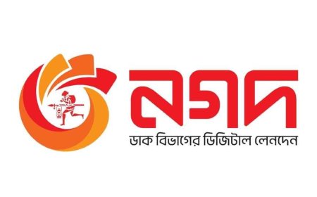 নগদে প্লে প্রোটেক্টের সতর্কবার্তা নিয়ে যা জানা গেল