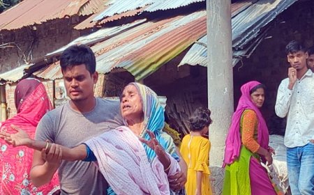 হাইকোর্টের পাশে ২৬ টুকরা লাশ, বাল্যবন্ধুকে ঘিরেই সন্দেহ, গ্রেপ্তার হয়নি কেউ