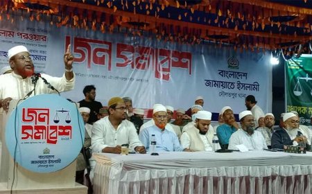 জুলাই সনদকে আইনি বৈধতা দিতে গণভোটই একমাত্র পথ : গোলাম পরওয়ার