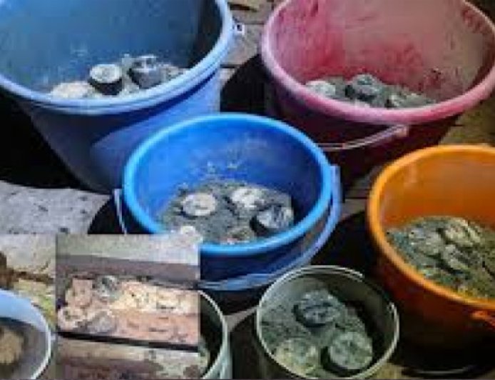 জেনেভা ক্যাম্পে গোপন কারখানা থেকে ৩৫টি তাজা ককটেল উদ্ধার