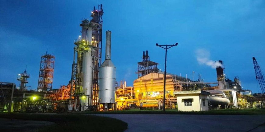 চালুর ১২ ঘন্টা না পেরোতেই ফের বন্ধ চট্টগ্রাম সার কারখানার উৎপাদন