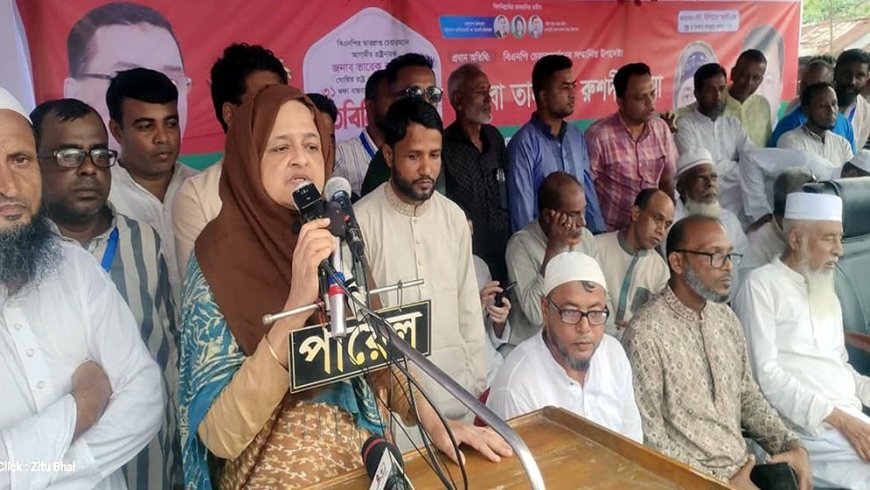 আমাকে আপনারা ইলিয়াস আলীর প্রতিনিধি হিসেবে দেখবেন : লুনা