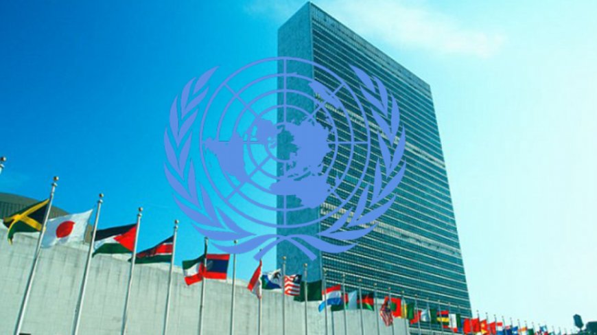 ঢাকায় আসছে জাতিসংঘের প্রতিনিধিদল