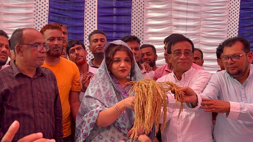 বিএনপির মনোনয়ন পাওয়ার পর বাবার কবর জিয়ারত করলেন শামা ওবায়েদ