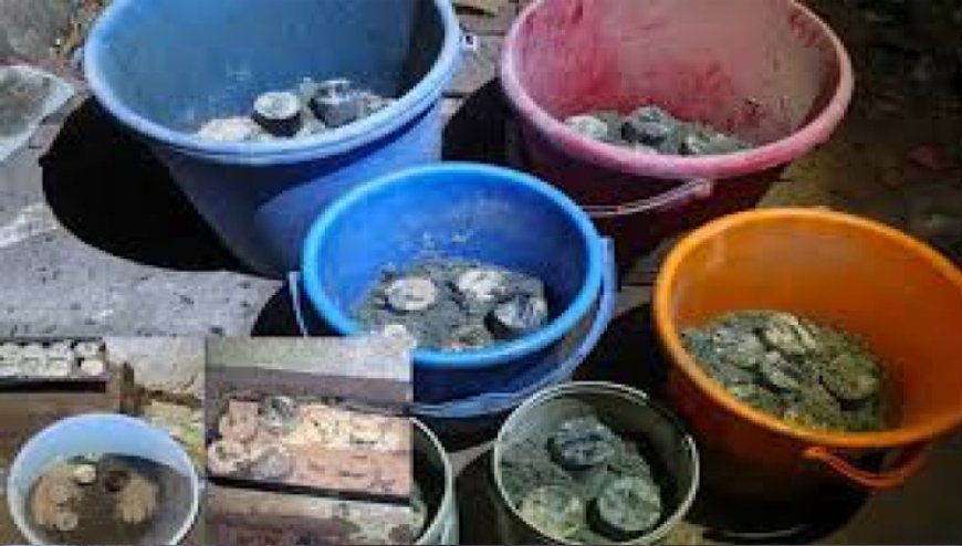 জেনেভা ক্যাম্পে গোপন কারখানা থেকে ৩৫টি তাজা ককটেল উদ্ধার