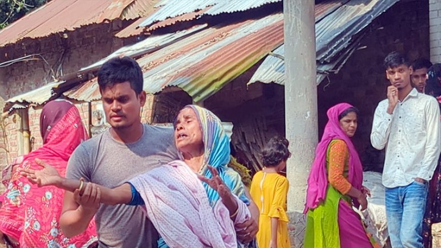 হাইকোর্টের পাশে ২৬ টুকরা লাশ, বাল্যবন্ধুকে ঘিরেই সন্দেহ, গ্রেপ্তার হয়নি কেউ