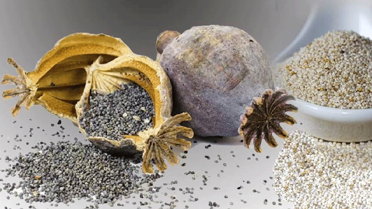 পাকিস্তান থেকে পাখির খাদ্যের আড়ালে এলো ২৫ টন পপির বীজ