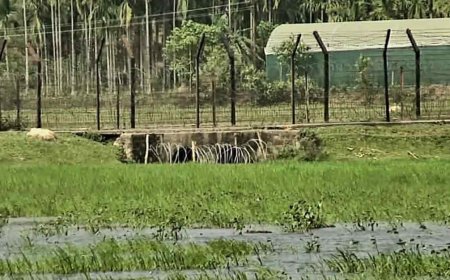 হাদির ওপর হামলাকারীরা ময়মনসিংহের সীমান্ত পথে পালানোর গুঞ্জন