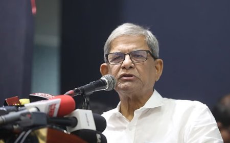 বিভিন্ন মব সন্ত্রাস পুরো জাতিকে বিভক্ত করেছে : মির্জা ফখরুল