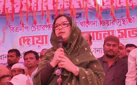 আমি মনোনয়ন কিনব না, এলাকার ভোটাররা চাইলে কিনতে পারে : রুমিন ফারহানা