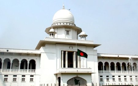 সরকারি চাকরিজীবীরা অবসরের ৩ বছর আগে নির্বাচন করতে পারবেন না : হাইকোর্ট