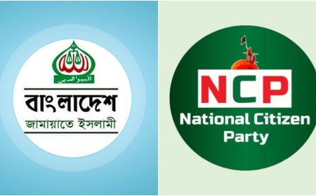 সাবেক দুই উপদেষ্টায় আটকা জামায়াত-এনসিপির সমঝোতা