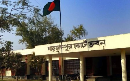 মামলা তুলে নিতে বাদীকে ভয়ংকর আস্তানায় নিয়ে নির্যাতন, তদন্তের নির্দেশ আদালতের