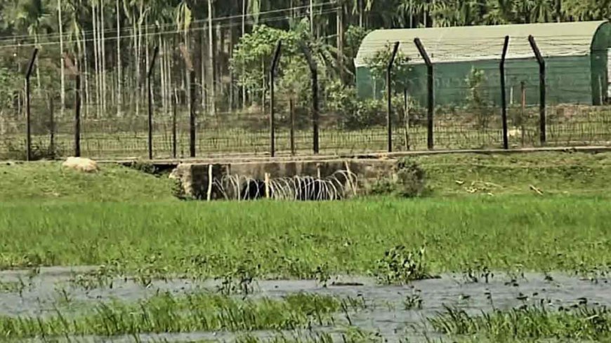 হাদির ওপর হামলাকারীরা ময়মনসিংহের সীমান্ত পথে পালানোর গুঞ্জন