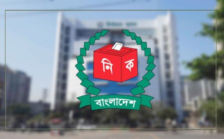 প্রার্থিতা ফিরে পেতে আপিলে মানতে হবে যেসব নির্দেশনা