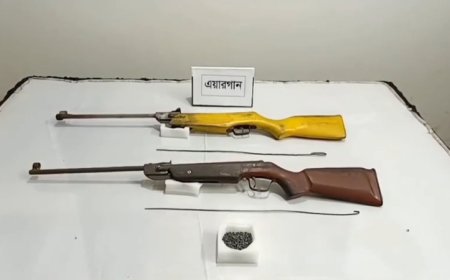 ব্রাহ্মণবাড়িয়ায় র‍্যাবের অভিযান, এয়ারগান ও ৪৪০ গুলি উদ্ধার