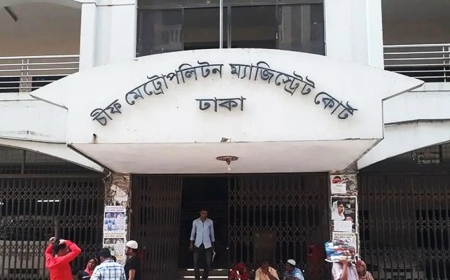 তারেক রহমানের বাসার সামনে থেকে গ্রেপ্তার যুবক ৩ দিনের রিমান্ডে