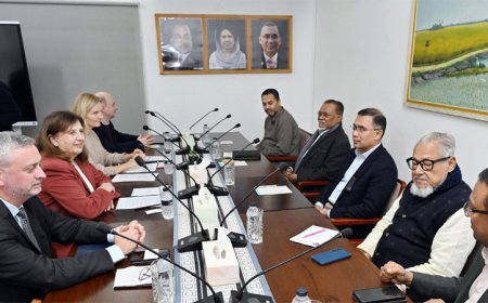 তারেক রহমানের সঙ্গে ইইউ প্রতিনিধি দলের বৈঠক