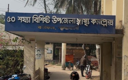 বাউফলে নার্সদের অবহেলায় নবজাতকের মৃত্যুর অভিযোগ