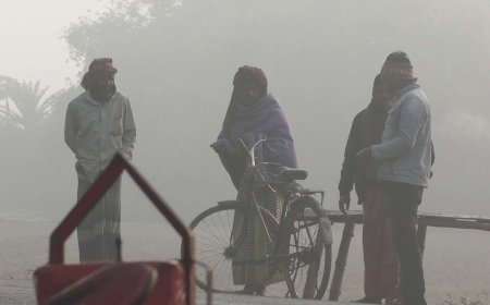 দেশের সর্বনিম্ন তাপমাত্রা রাজশাহীতে ৭ ডিগ্রি, ১০ জেলায় শৈত্যপ্রবাহ