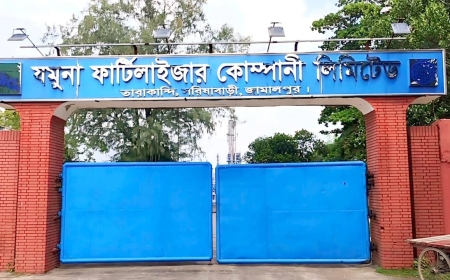 সরিষাবাড়িতে ফের বন্ধ যমুনা সার কারখানার ইউরিয়া উৎপাদন