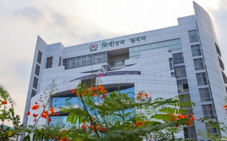 নির্বাচনে সাংবাদিক ও পর্যবেক্ষকদের কার্ড পেতে আবেদন অনলাইনে