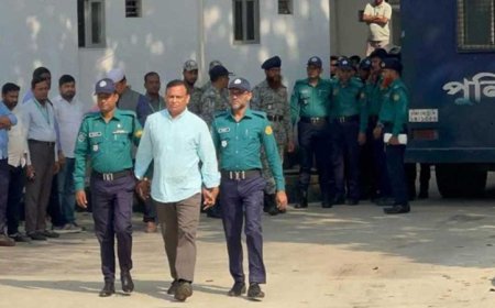 জিয়াউল আহসানের বিরুদ্ধে অভিযোগ গঠনের আদেশ ১৪ জানুয়ারি