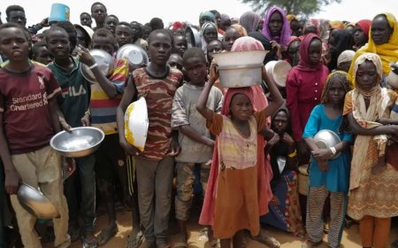 সুদানে চরম খাদ্যসংকটে ৩ কোটি মানুষ, জরুরি সহায়তার আহ্বান