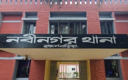 ঘুষ নিয়ে গাঁজা ভর্তি ট্রাক ছেড়ে দেওয়ার অভিযোগ, দুই পুলিশ বরখাস্ত