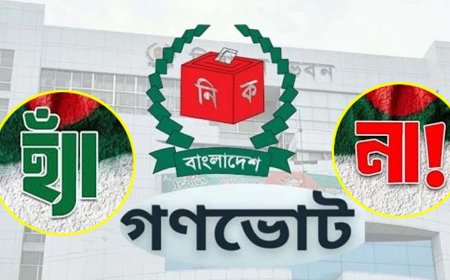 গণভোট সম্পর্কে সচেতনতা সৃষ্টিতে দেশজুড়ে ব্যাপক কর্মসূচি