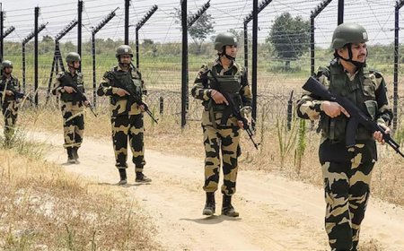 রৌমারী সীমান্তে বিএসএফের গুলি, যুবককে ধরে নিয়ে যাওয়ার অভিযোগ