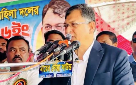 পৃথিবীর বুকে নজির স্থাপন করতে চায় বিএনপি : সালাহউদ্দিন আহমদ