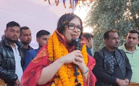 বিএনপি ও যুবদল নেতার বিরুদ্ধে রুমিন ফারহানার অভিযোগ