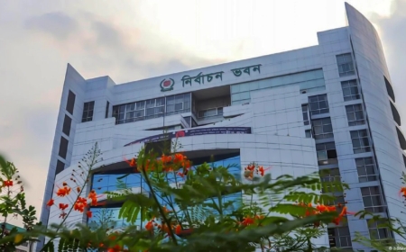 বাহরাইনে পোস্টাল ব্যালটের ভিডিও ভাইরাল, যা বললেন ইসি সচিব