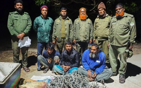 সুন্দরবনে ফাঁদসহ ৩ হরিণ শিকারি আটক