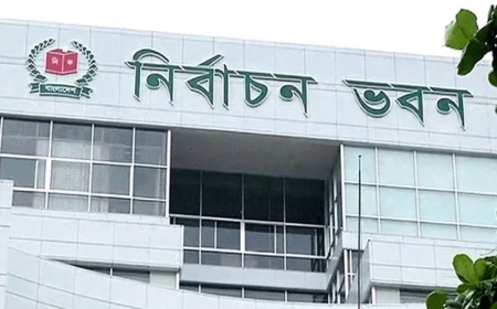 আপিল শুনানির পঞ্চম দিনে প্রার্থীতা ফিরে পেলেন আরও ৭৩ জন