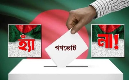 গণভোট নিয়ে প্রচারণায় জেলায় জেলায় যাচ্ছেন উপদেষ্টারা