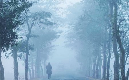 সপ্তাহ ধরে সর্বনিম্ন তাপমাত্রা তেঁতুলিয়ায়, দুর্ভোগে নিম্ন আয়ের মানুষ