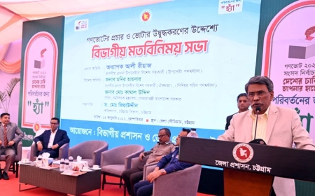 গণভোটের প্রচারণায় প্রজাতন্ত্রের কর্মচারীদের বাধা নেই : আলী রীয়াজ